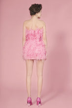 Moulin Rouge pink feathers dress