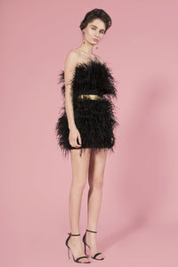 Moulin Rouge black feathers dress