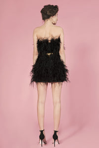 Moulin Rouge black feathers dress