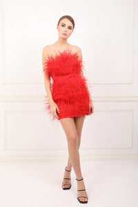 Moulin Rouge red feathers dress